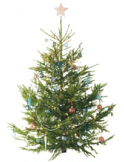 baum