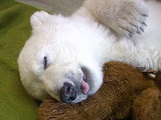 knut3